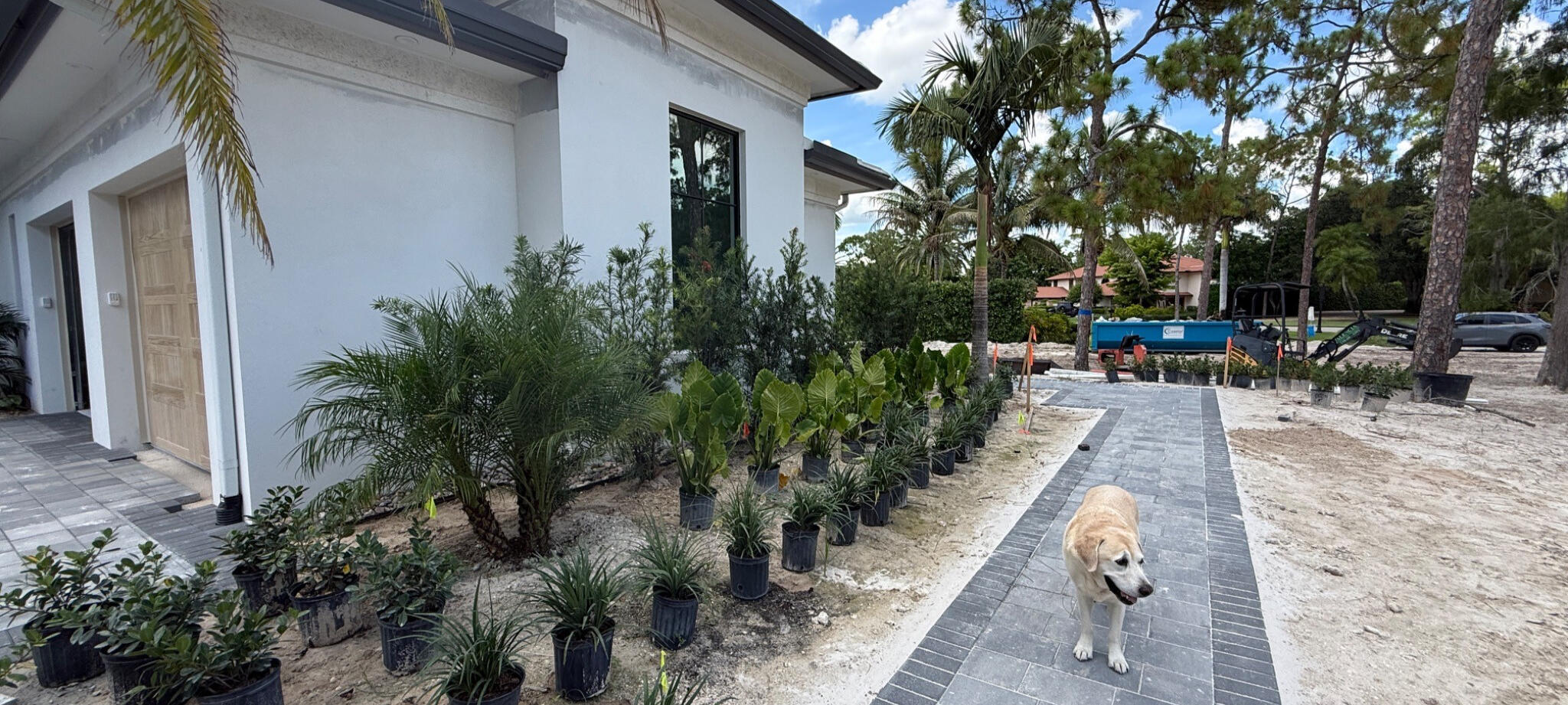 REFINED TROPICAL Lush, layered landscapes with a polished South Florida sensibility.